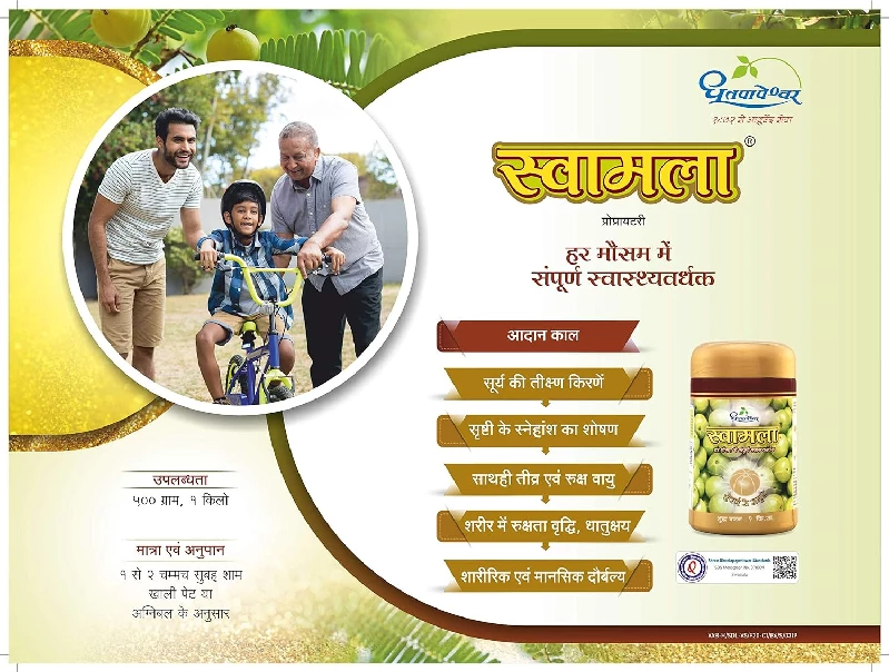 DHOOTAPAPESHWAR Swamala Chywanprash, 500 g-5.webp